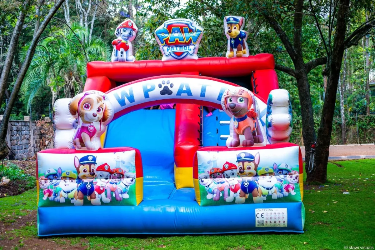 Premium Themed Kids Party Packages setup Nairobi — photo 6 | Sherehe Events